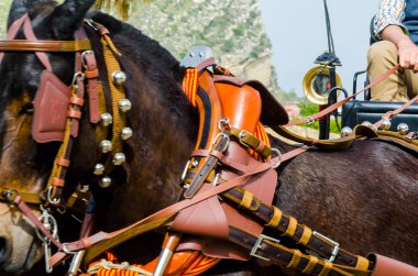 Almayate, İspanya - 22 Nisan 2018 dostum ile geleneksel bir Endülüs yarışmada bir araba sürüş at sürücü at arabası, atları ile carters profesyonel çalışma ile yeteneği sunumunu dayalı geleneksel İspanya Yarışması