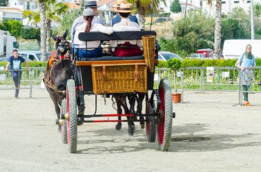 Almayate, İspanya - 22 Nisan 2018 dostum ile geleneksel bir Endülüs yarışmada bir araba sürüş at sürücü at arabası, atları ile carters profesyonel çalışma ile yeteneği sunumunu dayalı geleneksel İspanya Yarışması