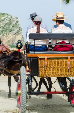 Almayate, İspanya - 22 Nisan 2018 dostum ile geleneksel bir Endülüs yarışmada bir araba sürüş at sürücü at arabası, atları ile carters profesyonel çalışma ile yeteneği sunumunu dayalı geleneksel İspanya Yarışması