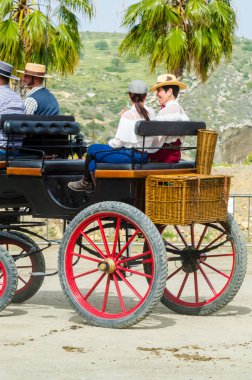 Almayate, İspanya - 22 Nisan 2018 dostum ile geleneksel bir Endülüs yarışmada bir araba sürüş at sürücü at arabası, atları ile carters profesyonel çalışma ile yeteneği sunumunu dayalı geleneksel İspanya Yarışması