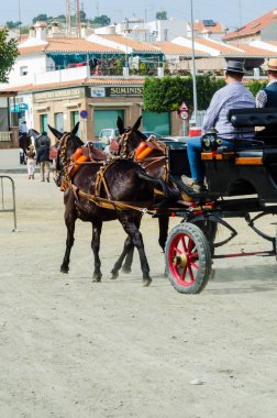Almayate, İspanya - 22 Nisan 2018 dostum ile geleneksel bir Endülüs yarışmada bir araba sürüş at sürücü at arabası, atları ile carters profesyonel çalışma ile yeteneği sunumunu dayalı geleneksel İspanya Yarışması