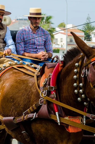 Almayate Spagna Aprile 2018 Cavallo Guida Uomo Con Carro Una — Foto Stock