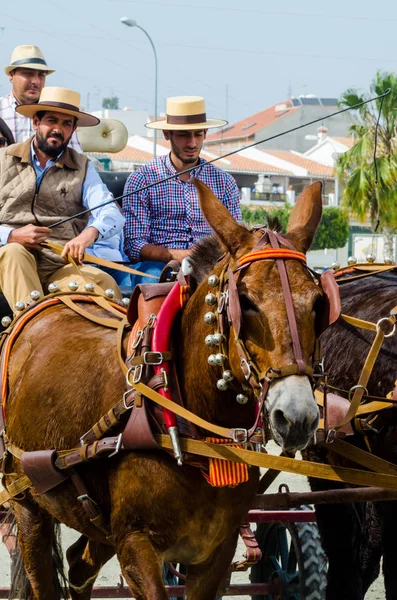 スペイン 2018 日男は伝統的なアンダルシア地方競争でワゴンで運転の馬カート 馬とカーターズのプロの仕事で車で馬に能力のプレゼンテーションに基づくスペインの伝統的なコンテスト — ストック写真