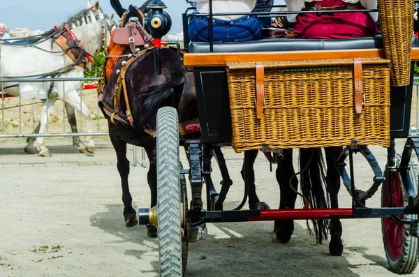 Almayate Spain April 2018 Man Driving Horse Wagon Traditional Andalusian — Stock Photo, Image