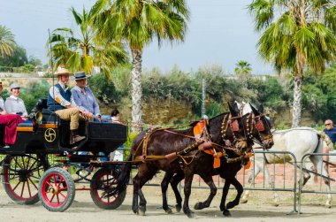 Almayate, İspanya - 22 Nisan 2018 dostum ile geleneksel bir Endülüs yarışmada bir araba sürüş at sürücü at arabası, atları ile carters profesyonel çalışma ile yeteneği sunumunu dayalı geleneksel İspanya Yarışması