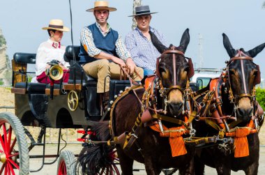 Almayate, İspanya - 22 Nisan 2018 dostum ile geleneksel bir Endülüs yarışmada bir araba sürüş at sürücü at arabası, atları ile carters profesyonel çalışma ile yeteneği sunumunu dayalı geleneksel İspanya Yarışması