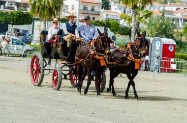 Almayate, İspanya - 22 Nisan 2018 dostum ile geleneksel bir Endülüs yarışmada bir araba sürüş at sürücü at arabası, atları ile carters profesyonel çalışma ile yeteneği sunumunu dayalı geleneksel İspanya Yarışması