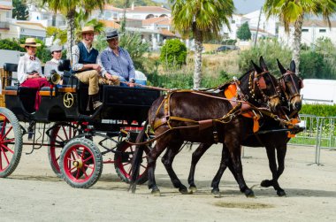Almayate, İspanya - 22 Nisan 2018 dostum ile geleneksel bir Endülüs yarışmada bir araba sürüş at sürücü at arabası, atları ile carters profesyonel çalışma ile yeteneği sunumunu dayalı geleneksel İspanya Yarışması