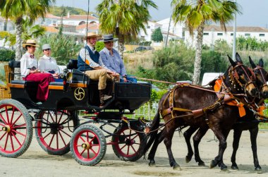 Almayate, İspanya - 22 Nisan 2018 dostum ile geleneksel bir Endülüs yarışmada bir araba sürüş at sürücü at arabası, atları ile carters profesyonel çalışma ile yeteneği sunumunu dayalı geleneksel İspanya Yarışması