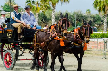 Almayate, İspanya - 22 Nisan 2018 dostum ile geleneksel bir Endülüs yarışmada bir araba sürüş at sürücü at arabası, atları ile carters profesyonel çalışma ile yeteneği sunumunu dayalı geleneksel İspanya Yarışması