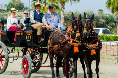 Almayate, İspanya - 22 Nisan 2018 dostum ile geleneksel bir Endülüs yarışmada bir araba sürüş at sürücü at arabası, atları ile carters profesyonel çalışma ile yeteneği sunumunu dayalı geleneksel İspanya Yarışması