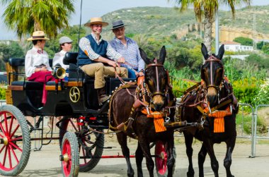 Almayate, İspanya - 22 Nisan 2018 dostum ile geleneksel bir Endülüs yarışmada bir araba sürüş at sürücü at arabası, atları ile carters profesyonel çalışma ile yeteneği sunumunu dayalı geleneksel İspanya Yarışması