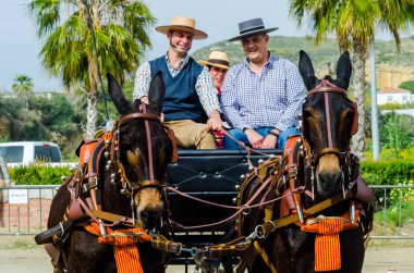 Almayate, İspanya - 22 Nisan 2018 dostum ile geleneksel bir Endülüs yarışmada bir araba sürüş at sürücü at arabası, atları ile carters profesyonel çalışma ile yeteneği sunumunu dayalı geleneksel İspanya Yarışması