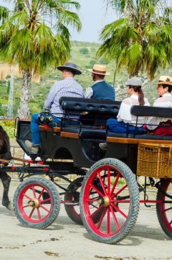 Almayate, İspanya - 22 Nisan 2018 dostum ile geleneksel bir Endülüs yarışmada bir araba sürüş at sürücü at arabası, atları ile carters profesyonel çalışma ile yeteneği sunumunu dayalı geleneksel İspanya Yarışması