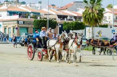 Almayate, İspanya - 22 Nisan 2018 dostum ile geleneksel bir Endülüs yarışmada bir araba sürüş at sürücü at arabası, atları ile carters profesyonel çalışma ile yeteneği sunumunu dayalı geleneksel İspanya Yarışması