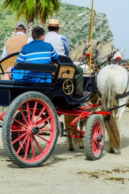 Almayate, İspanya - 22 Nisan 2018 dostum ile geleneksel bir Endülüs yarışmada bir araba sürüş at sürücü at arabası, atları ile carters profesyonel çalışma ile yeteneği sunumunu dayalı geleneksel İspanya Yarışması