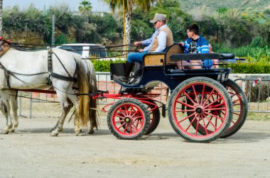 Almayate, İspanya - 22 Nisan 2018 dostum ile geleneksel bir Endülüs yarışmada bir araba sürüş at sürücü at arabası, atları ile carters profesyonel çalışma ile yeteneği sunumunu dayalı geleneksel İspanya Yarışması