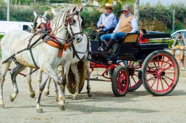 Almayate, İspanya - 22 Nisan 2018 dostum ile geleneksel bir Endülüs yarışmada bir araba sürüş at sürücü at arabası, atları ile carters profesyonel çalışma ile yeteneği sunumunu dayalı geleneksel İspanya Yarışması