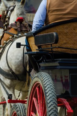 Almayate, İspanya - 22 Nisan 2018 dostum ile geleneksel bir Endülüs yarışmada bir araba sürüş at sürücü at arabası, atları ile carters profesyonel çalışma ile yeteneği sunumunu dayalı geleneksel İspanya Yarışması