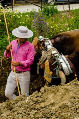 Almayate, İspanya - 21 Nisan 2018 yarışma öküz bir sepeti ile sürüş becerileri gösterilen coachmen tarafından dayalı Endülüs Almayate şehir içinde