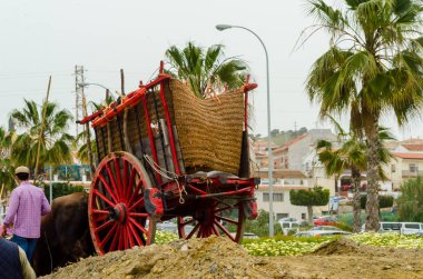 Almayate, İspanya - 21 Nisan 2018 yarışma öküz bir sepeti ile sürüş becerileri gösterilen coachmen tarafından dayalı Endülüs Almayate şehir içinde