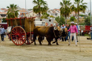 Almayate, İspanya - 21 Nisan 2018 yarışma öküz bir sepeti ile sürüş becerileri gösterilen coachmen tarafından dayalı Endülüs Almayate şehir içinde