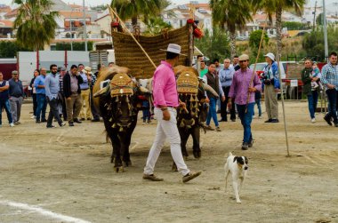 Almayate, İspanya - 21 Nisan 2018 yarışma öküz bir sepeti ile sürüş becerileri gösterilen coachmen tarafından dayalı Endülüs Almayate şehir içinde