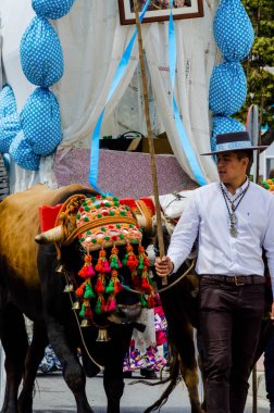 Torre Del Mar, İspanya - 29 Nisan 2018 insanlar kutlamaları nedeniyle İspanya Kutsal şekilde aktarma Katolik törenine katılan