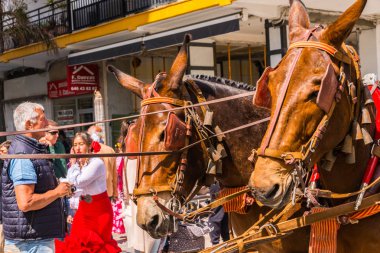 Torre Del Mar, İspanya - 29 Nisan 2018 insanlar kutlamaları nedeniyle İspanya Kutsal şekilde aktarma Katolik törenine katılan