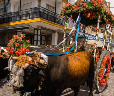 Torre Del Mar, İspanya - 29 Nisan 2018 insanlar kutlamaları nedeniyle İspanya Kutsal şekilde aktarma Katolik törenine katılan
