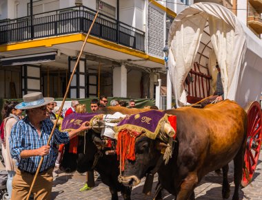Torre Del Mar, İspanya - 29 Nisan 2018 insanlar kutlamaları nedeniyle İspanya Kutsal şekilde aktarma Katolik törenine katılan