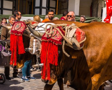 Torre Del Mar, İspanya - 29 Nisan 2018 insanlar kutlamaları nedeniyle İspanya Kutsal şekilde aktarma Katolik törenine katılan
