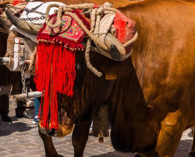 Torre Del Mar, İspanya - 29 Nisan 2018 insanlar kutlamaları nedeniyle İspanya Kutsal şekilde aktarma Katolik törenine katılan