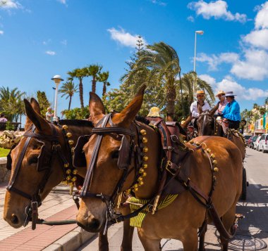 Torre Del Mar, İspanya - 29 Nisan 2018 insanlar kutlamaları nedeniyle İspanya Kutsal şekilde aktarma Katolik törenine katılan