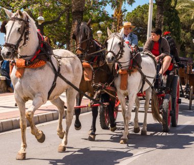 Torre Del Mar, İspanya - 29 Nisan 2018 insanlar kutlamaları nedeniyle İspanya Kutsal şekilde aktarma Katolik törenine katılan