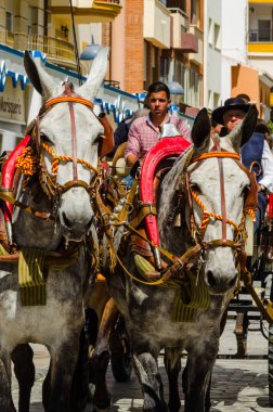 Torre Del Mar, İspanya - 29 Nisan 2018 insanlar kutlamaları nedeniyle İspanya Kutsal şekilde aktarma Katolik törenine katılan