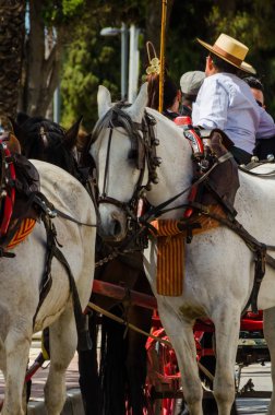Torre Del Mar, İspanya - 29 Nisan 2018 insanlar kutlamaları nedeniyle İspanya Kutsal şekilde aktarma Katolik törenine katılan