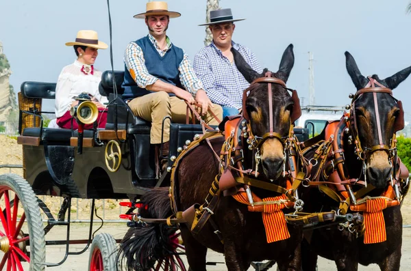 Almayate, İspanya - 22 Nisan 2018 dostum ile geleneksel bir Endülüs yarışmada bir araba sürüş at sürücü at arabası, atları ile carters profesyonel çalışma ile yeteneği sunumunu dayalı geleneksel İspanya Yarışması