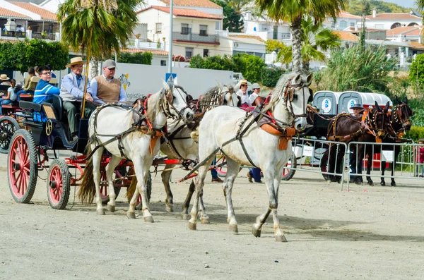 スペイン 2018 日男は伝統的なアンダルシア地方競争でワゴンで運転の馬カート 馬とカーターズのプロの仕事で車で馬に能力のプレゼンテーションに基づくスペインの伝統的なコンテスト — ストック写真