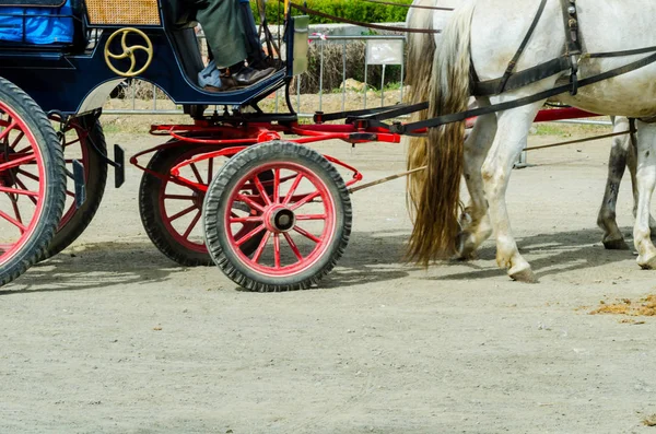 Almayate Espagne Avril 2018 Homme Conduisant Cheval Avec Une Charrette — Photo