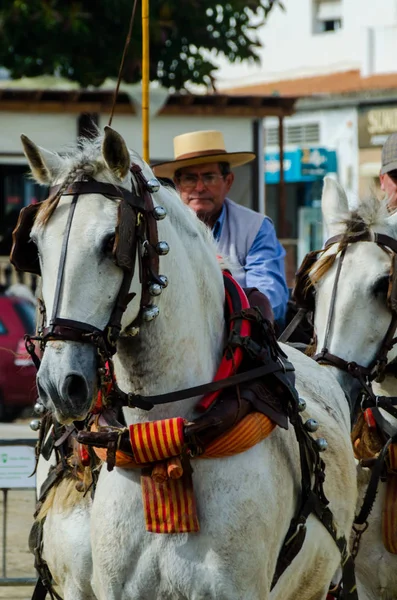 Almayate Spanien April 2018 Man Köra Häst Med Vagn Traditionell — Stockfoto