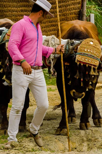 Almayate España Abril 2018 Concurso Localidad Andaluza Almayate Basado Mostrar —  Fotos de Stock