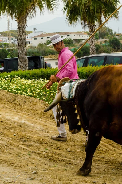 Almayate Spanien April 2018 Tävling Den Andalusiska Staden Almayate Baserat — Stockfoto