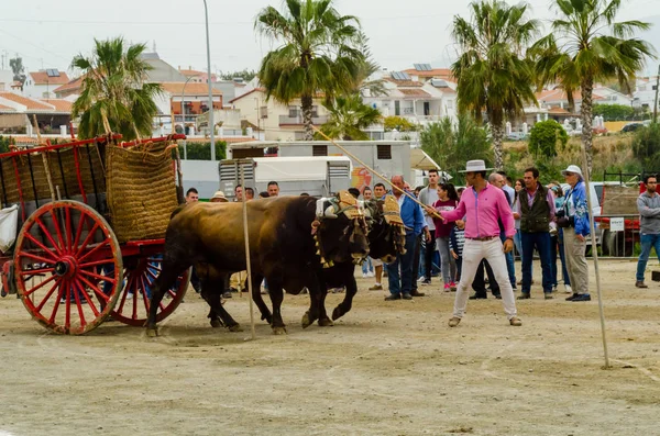 Almayate Spanien April 2018 Tävling Den Andalusiska Staden Almayate Baserat — Stockfoto