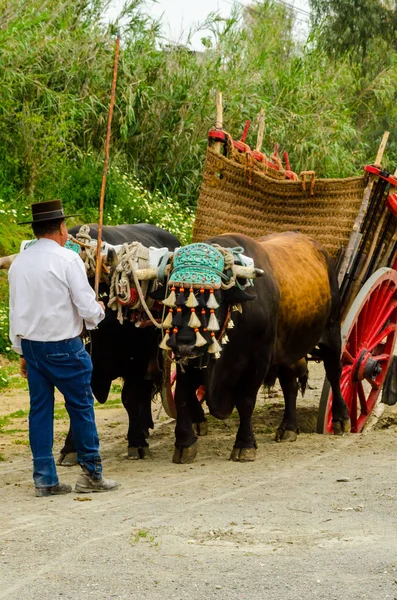 Almayate Espanha Abril 2018 Concurso Cidade Andaluza Almayate Baseado Mostrar — Fotografia de Stock