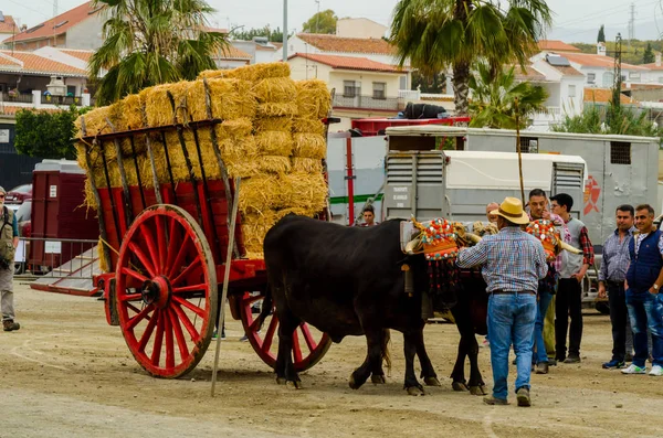 Almayate Spanien April 2018 Tävling Den Andalusiska Staden Almayate Baserat — Stockfoto