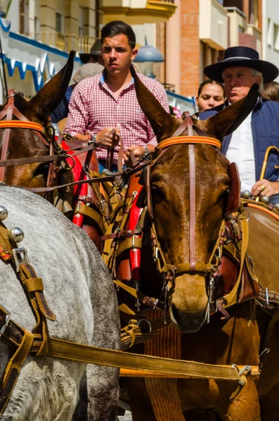 Torre Del Mar, İspanya - 29 Nisan 2018 insanlar kutlamaları nedeniyle İspanya Kutsal şekilde aktarma Katolik törenine katılan