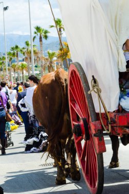 Torre Del Mar, İspanya - 29 Nisan 2018 insanlar kutlamaları nedeniyle İspanya Kutsal şekilde aktarma Katolik törenine katılan