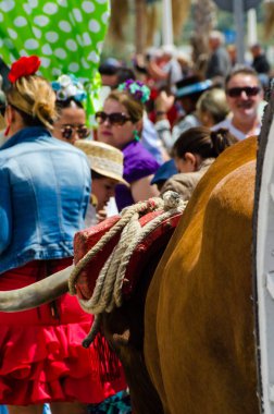 Torre Del Mar, İspanya - 29 Nisan 2018 insanlar kutlamaları nedeniyle İspanya Kutsal şekilde aktarma Katolik törenine katılan