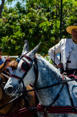 İspanya'da kutsal aktarma Katolik törene katılan Nerja, İspanya - 15 Mayıs, 2018 insan figürü
